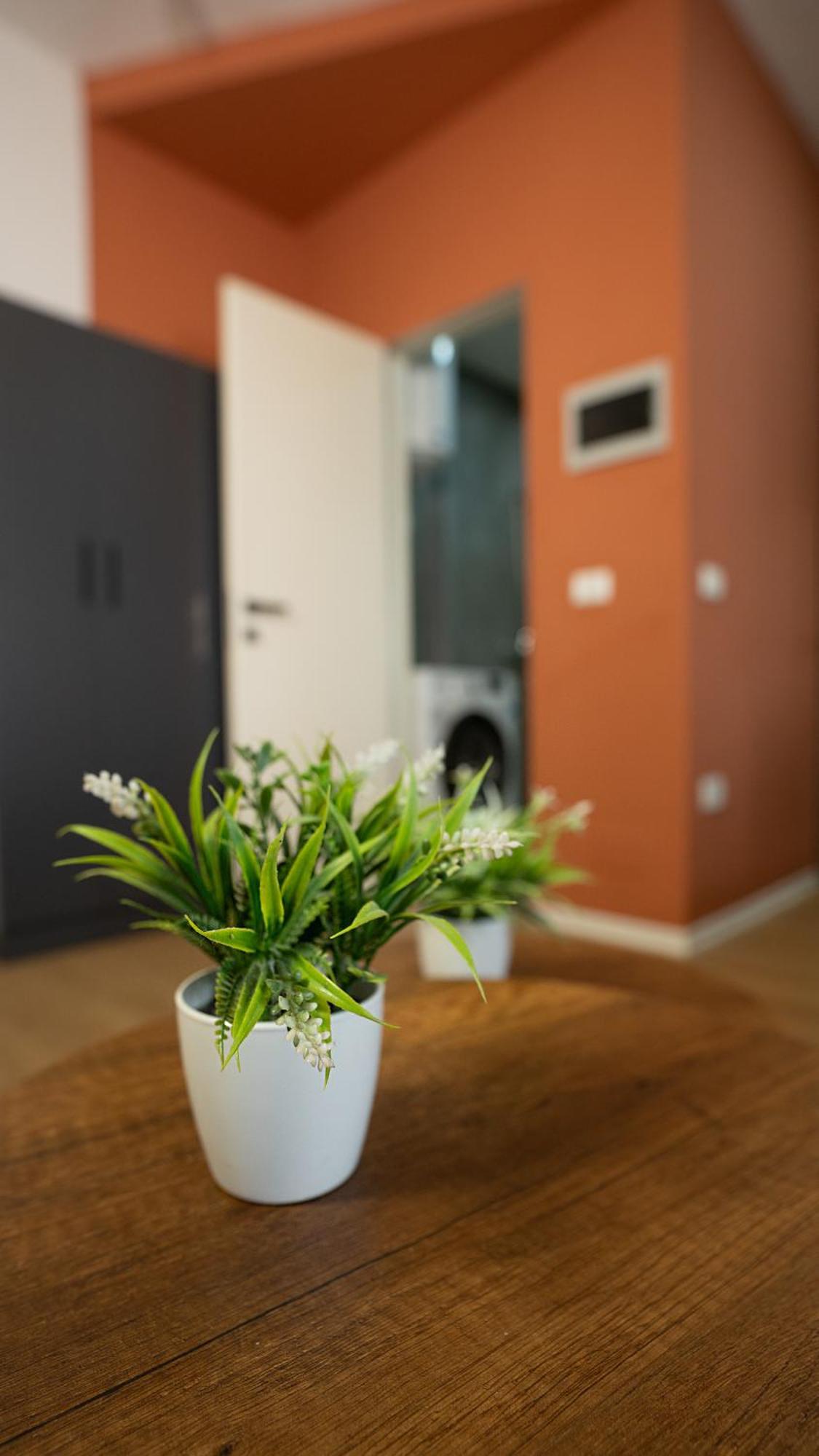 Kristal Center, Studio,near Artificial Apartment